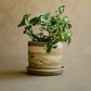 Planter with Drip Tray — Jupiter